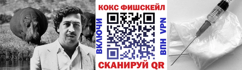 закладки  OMG вход  Cocaine Fish Scale  Бежецк 