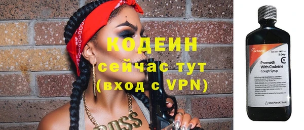 ПСИЛОЦИБИНОВЫЕ ГРИБЫ Болотное