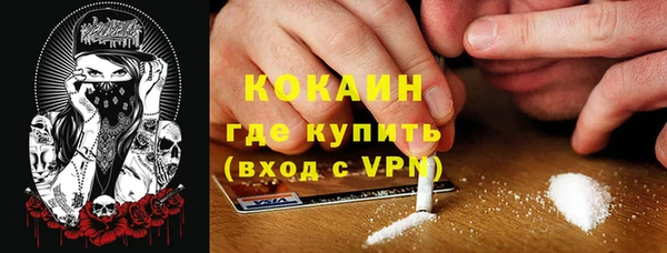 ГАЛЛЮЦИНОГЕННЫЕ ГРИБЫ Алексин