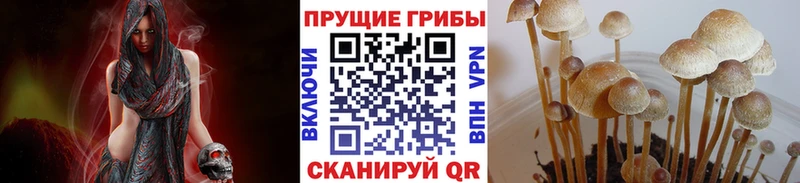 Псилоцибиновые грибы мухоморы  дарнет шоп  блэк спрут ССЫЛКА  Бежецк 
